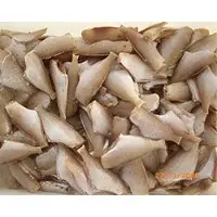 Rizard fish